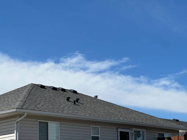 Professional Roofing Service  in Hazlehurst, GA